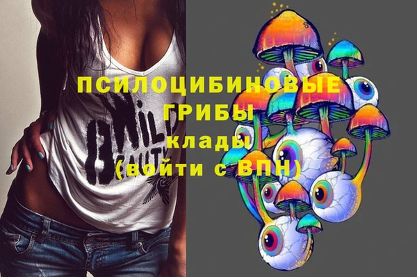 прущий лед Вязники