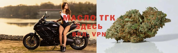 прущие грибы Вязьма