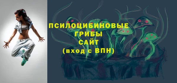 соль ск Вяземский