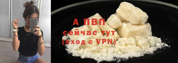прущие грибы Вязьма