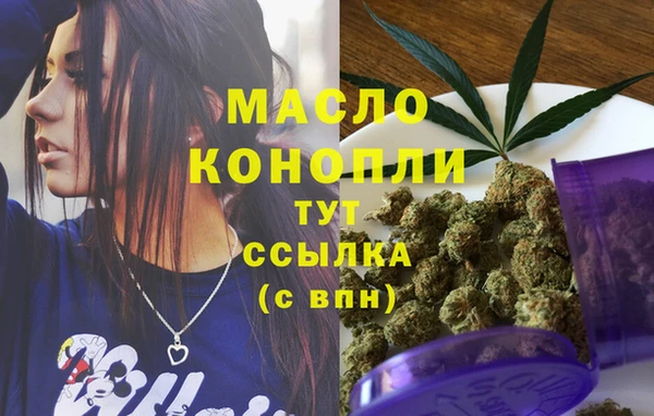 прущие грибы Вязьма