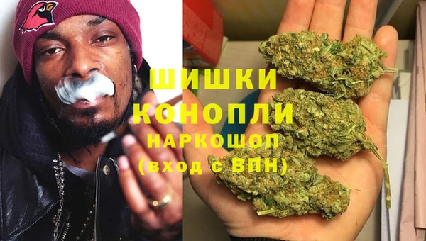 соль ск Вяземский