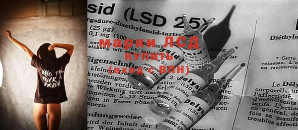прущие грибы Вязьма
