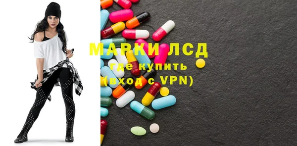 прущие грибы Вязьма