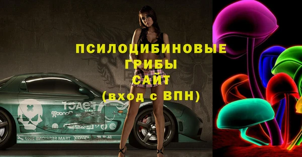 соль ск Вяземский