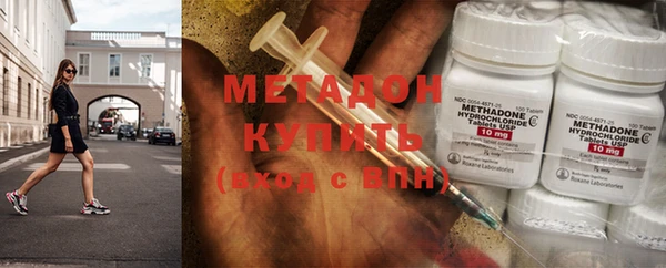 прущие грибы Вязьма