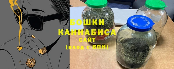 прущие грибы Вязьма