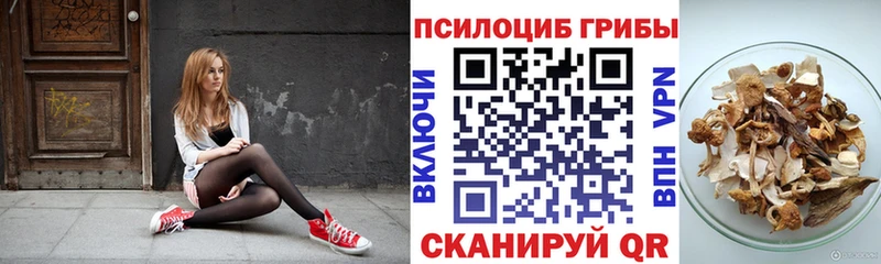 Галлюциногенные грибы Psilocybine cubensis  Купить закладки  Канск 